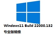 Windows11 Build 22000.132 专业版镜像段首LOGO