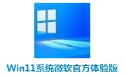 Win11系统微软官方体验版段首LOGO