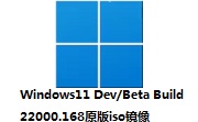 Windows11 Dev/Beta Build 22000.168原版iso镜像段首LOGO