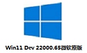 Win11 Dev 22000.65微软原版段首LOGO