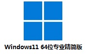 Windows11 64位专业精简版段首LOGO