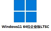 Windows11 64位企业版LTSC段首LOGO