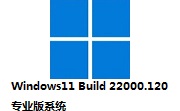 Windows11 Build 22000.120 专业版系统段首LOGO