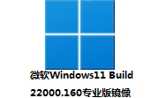 微软Windows11 Build 22000.160专业版镜像段首LOGO