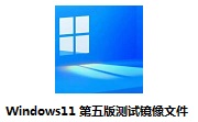 Windows11 第五版测试镜像文件段首LOGO