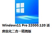 Windows11 Pro 22000.120 适度优化二合一精简版段首LOGO