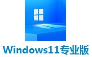 Windows11专业版段首LOGO