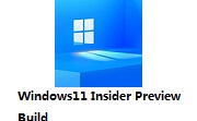 Windows11 Insider Preview Build 22000.176段首LOGO