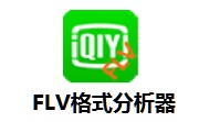 FLV格式分析器段首LOGO