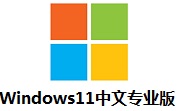 Windows11中文专业版段首LOGO