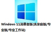 Windows 11消费者版(含家庭版/专业版/专业工作站)段首LOGO