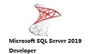 Microsoft SQL Server 2019 Developer段首LOGO