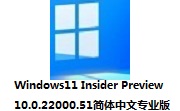 Windows11 Insider Preview 10.0.22000.51简体中文专业版段首LOGO