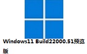 Windows11 Build22000.51预览版段首LOGO