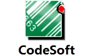 CodeSoft段首LOGO
