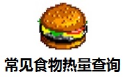 常见食物热量查询段首LOGO