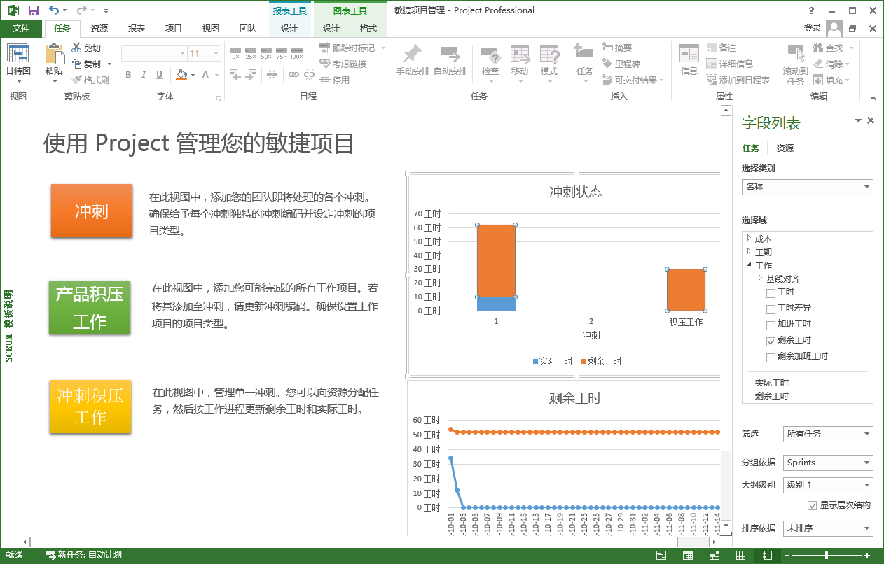 microsoft project 2010截图