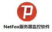 NetFox服务器监控软件段首LOGO