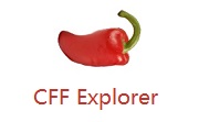 CFF Explorer段首LOGO