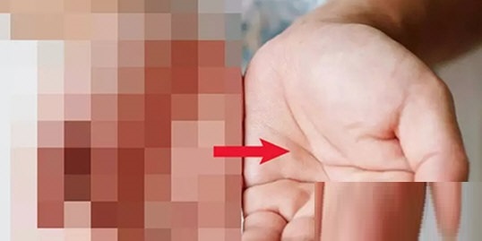 Tecogan播放器电脑版