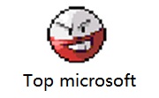 Top microsoft段首LOGO