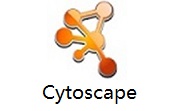 Cytoscape段首LOGO