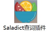 Saladict查词插件段首LOGO