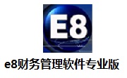 e8财务管理软件专业版段首LOGO