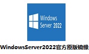 Windows Server 2022官方原版镜像段首LOGO