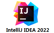 IntelliJ IDEA 2022段首LOGO