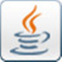 Java SE Development Kit 99.0.4 官方版