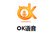 OK语音段首LOGO