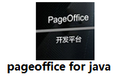 pageoffice for java段首LOGO