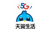 天翼生活段首LOGO