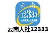 云南人社12333段首LOGO