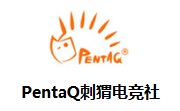 PentaQ刺猬电竞社段首LOGO