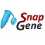 SnapGene最新版 5.3.1