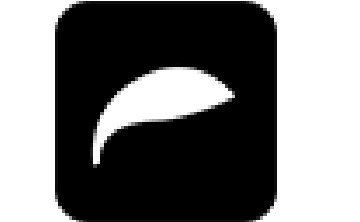 电子签名段首LOGO