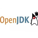 OpenJDK最新版 11.0.11.9