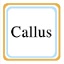 Callus官方版 1.0