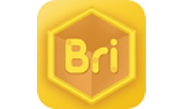 Bricube学生端段首LOGO