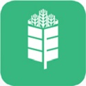 丰收课v1.11