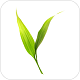 微博士家长端v3.5.0