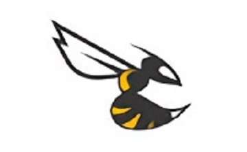 Betaflight段首LOGO