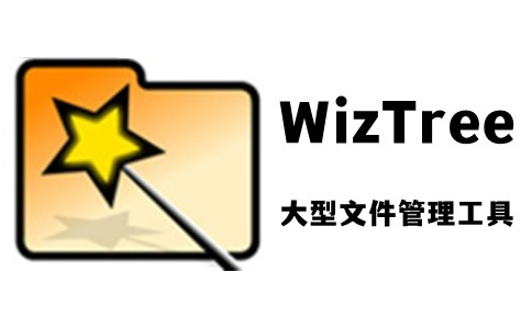 查找大文件(WizTree)