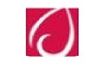 Dell触摸板驱动段首LOGO