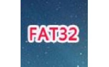 Fat32Format段首LOGO