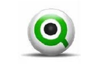 QlikView段首LOGO