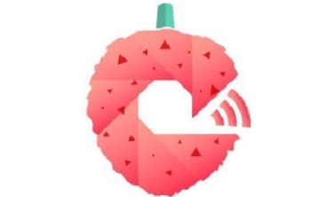 荔枝微课段首LOGO