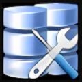 Database Master官方版v8.3.5